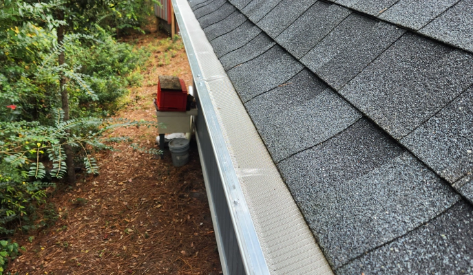 Gutter Guard Installation Service